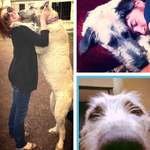 Meet your Posher, Christy